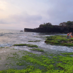 20231022 175150 Result Scaled 1 150x150