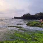 20231022 175150 Result Scaled 1 150x150