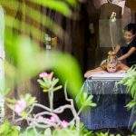 Thalassobalispa Grandmirageres Result 150x150