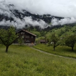 IMG20240603100002_result