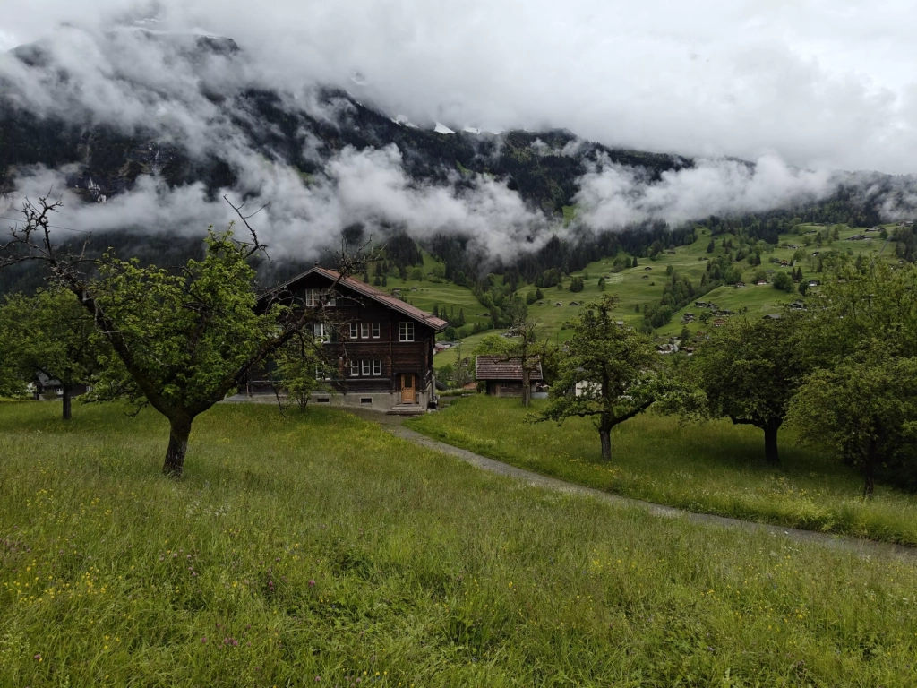 img20240603100002 result scaled 1 1024x768